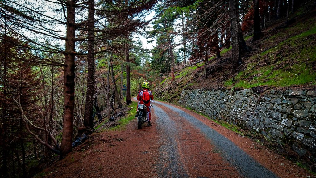 A man on a Dirt bike standing still in a beautiful wood scenery