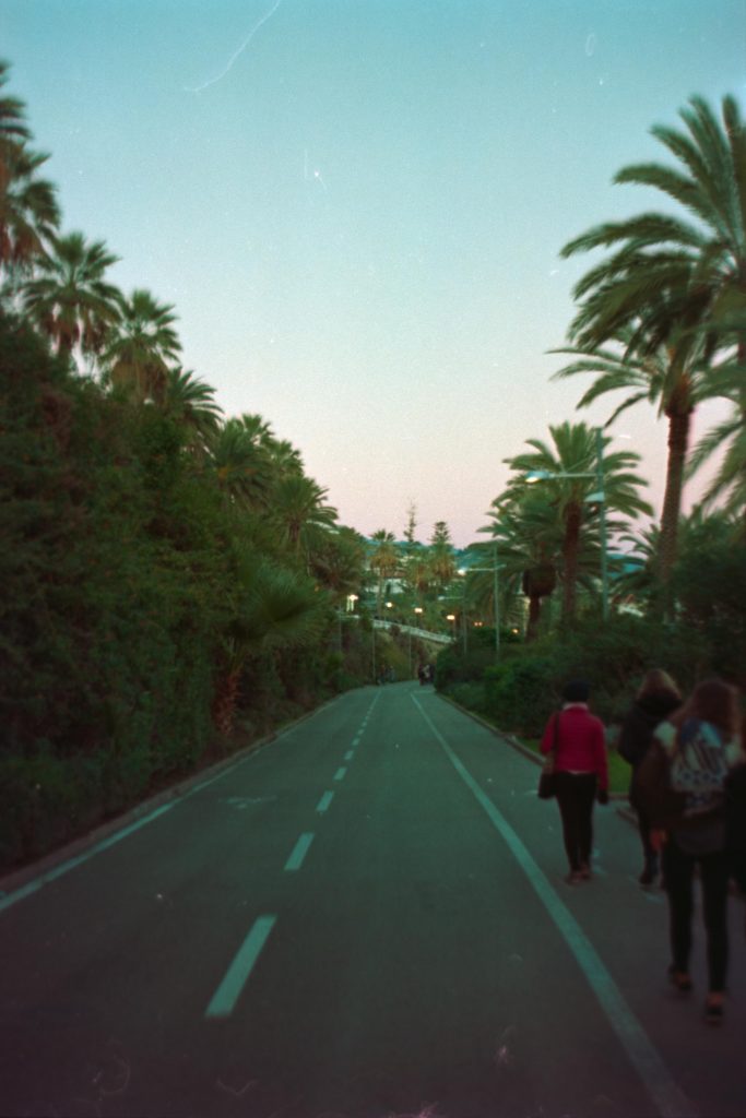 A view on an empty road surrounded by plants and palms at sunset with few people walking on its side