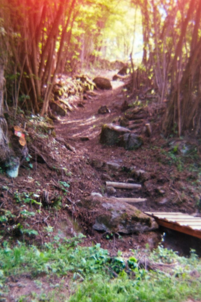 A trail surrounded by trees with sunlight poking at the end of it