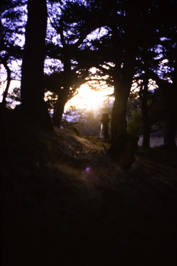 a single track rail in the woods leading to a sunsetting sun