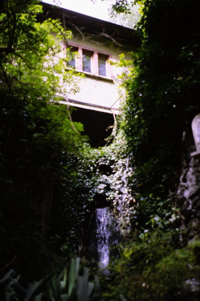 water falling from a pipe surronded by plants under a building
